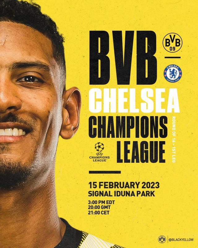 葵花籽榨油设备